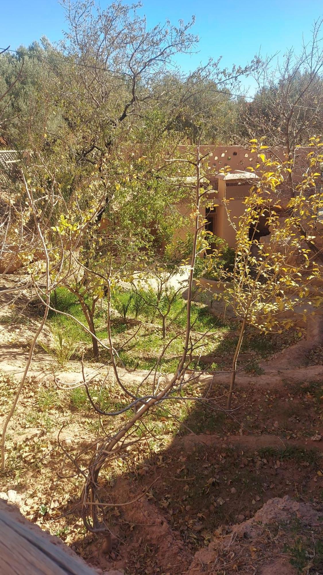 Ecolodge Miss Rose Chez La Famille Boumalne Kültér fotó